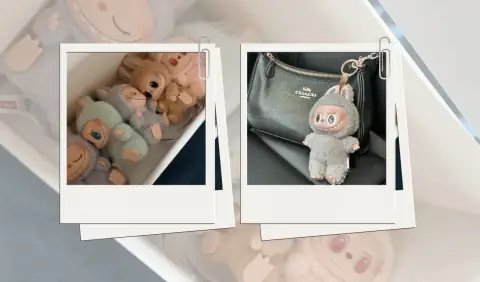 Labubu Toy Trend